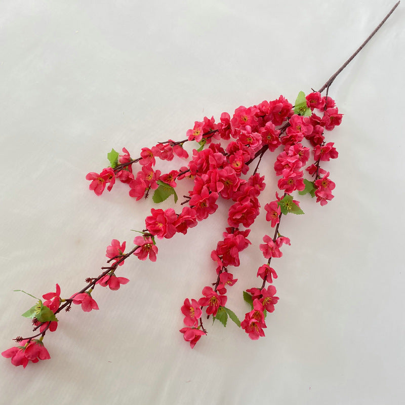 peach blossom 002