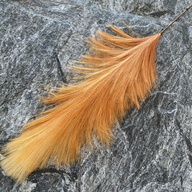 Reed grass 007