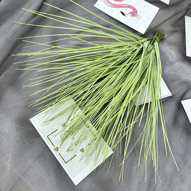 Reed grass 001