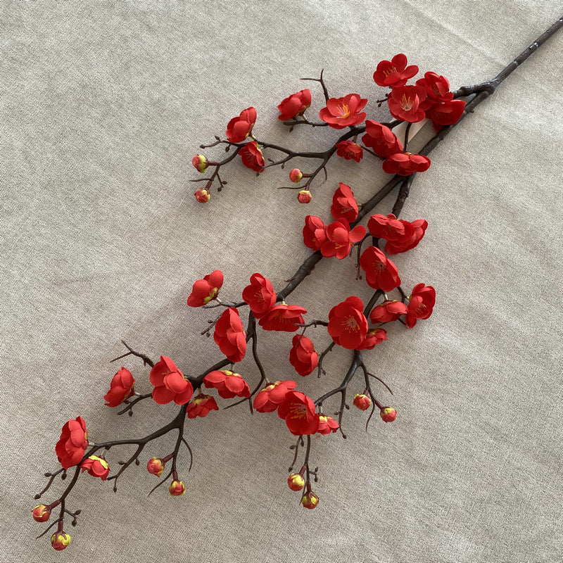 Plump blossom004
