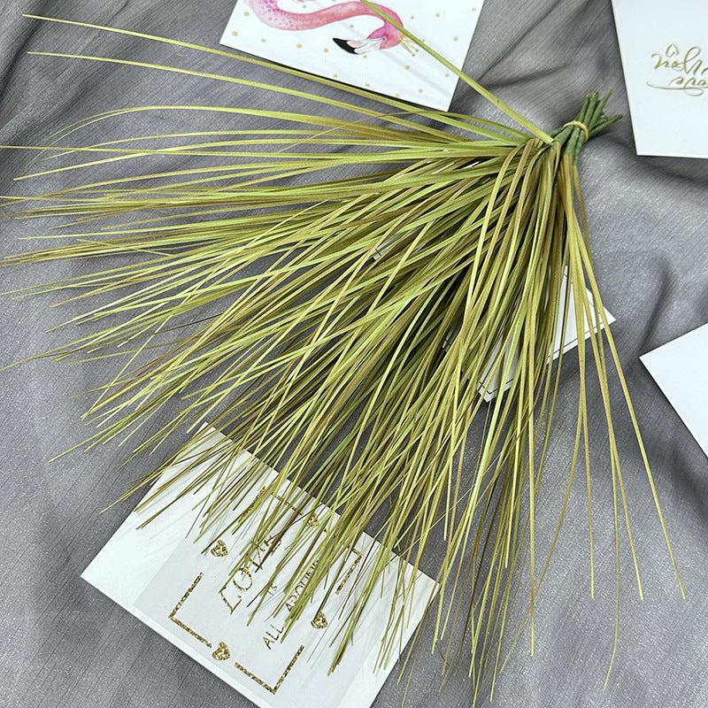 Reed grass 001