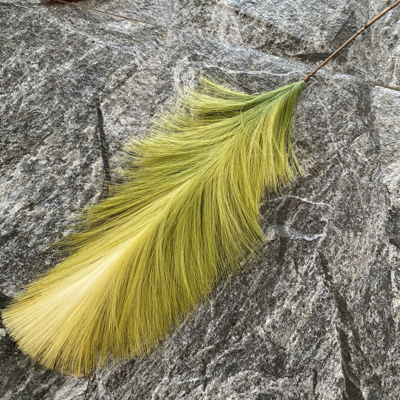 Reed grass 007