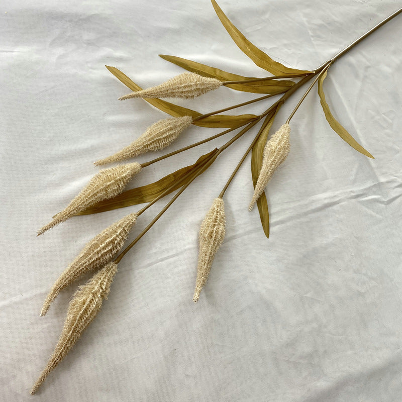 Reed grass 008