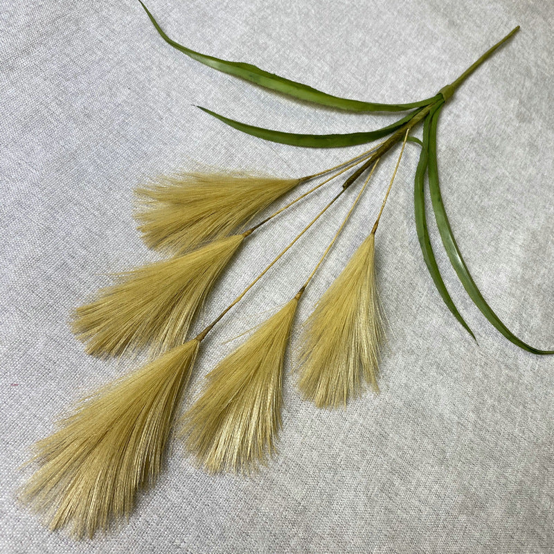 Reed grass 004