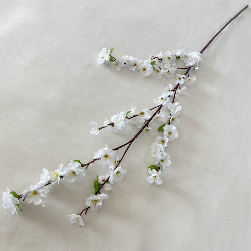 peach blossom 003