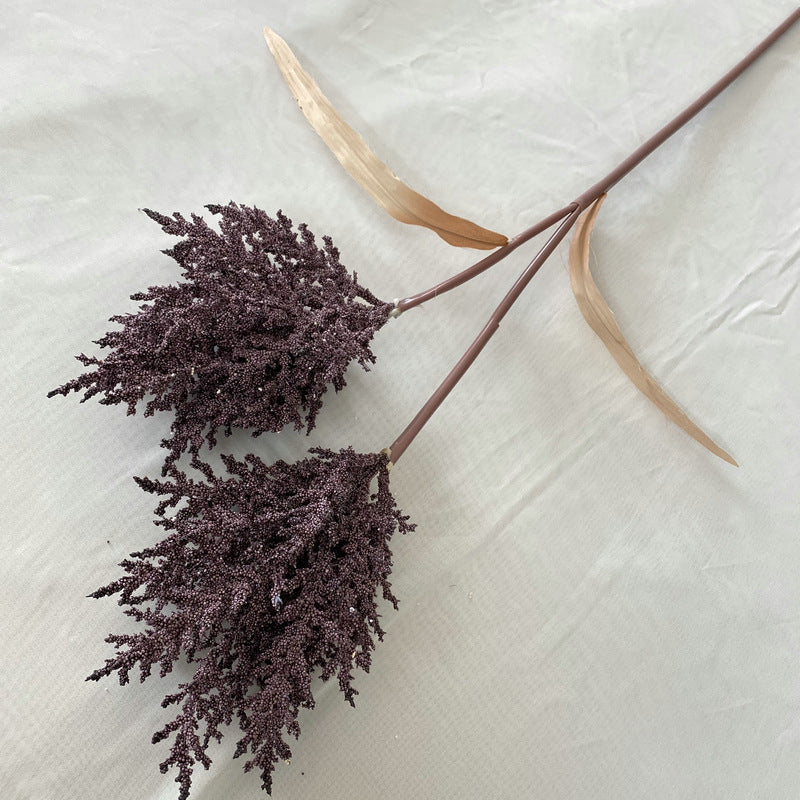 Reed grass 002