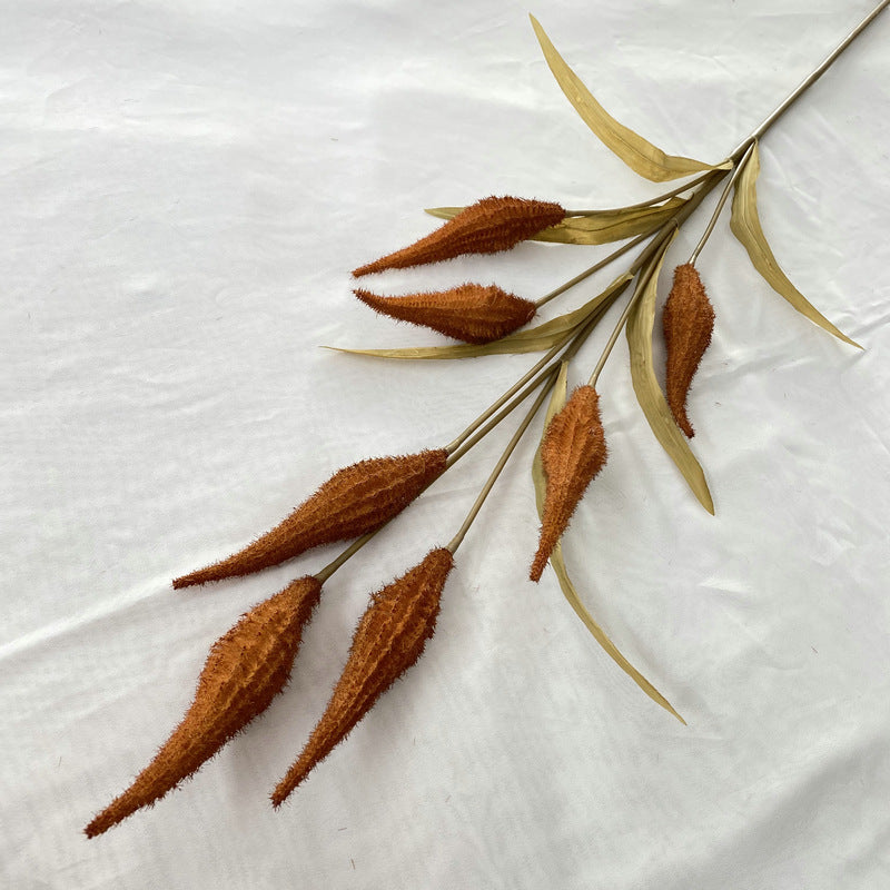 Reed grass 008