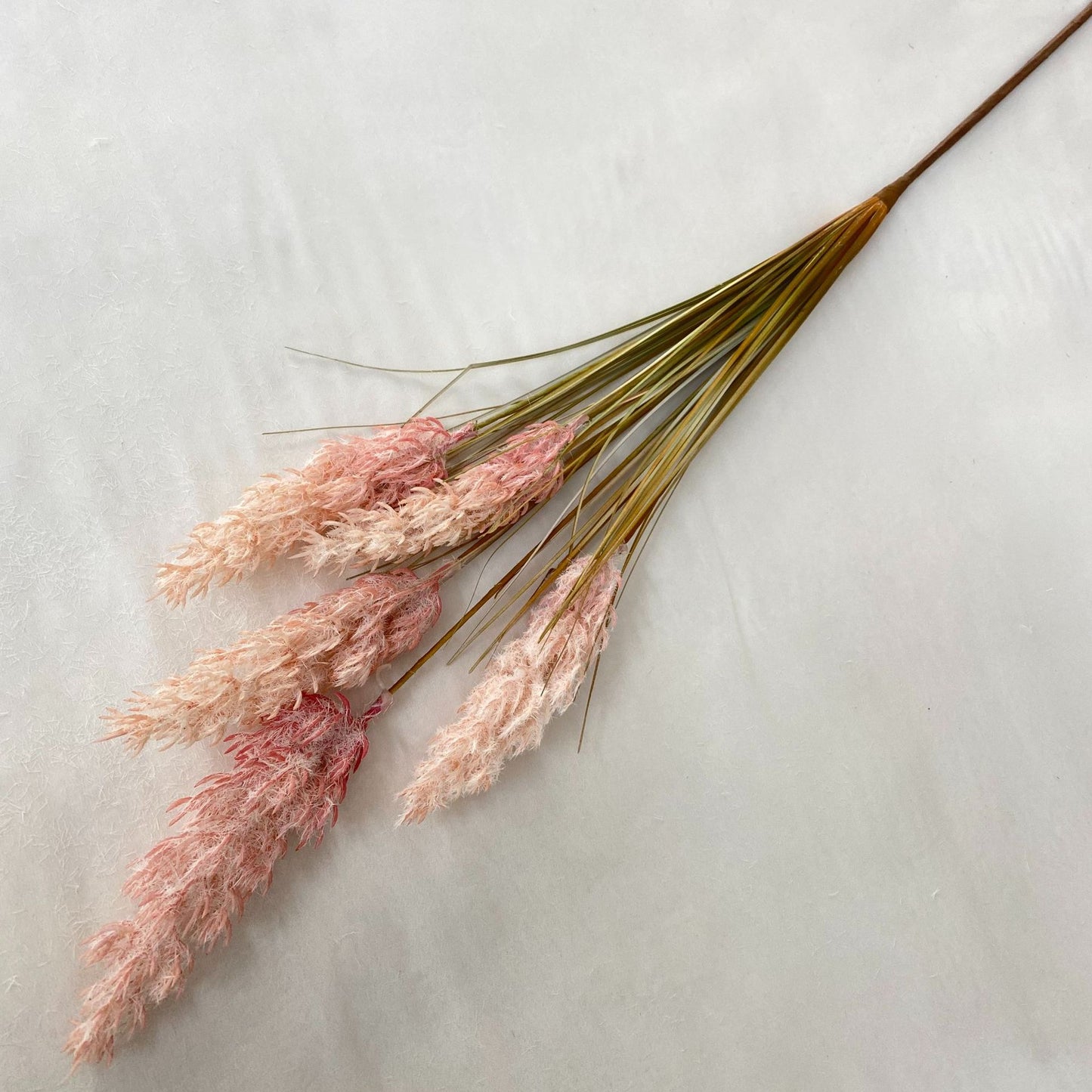Reed Grass 005