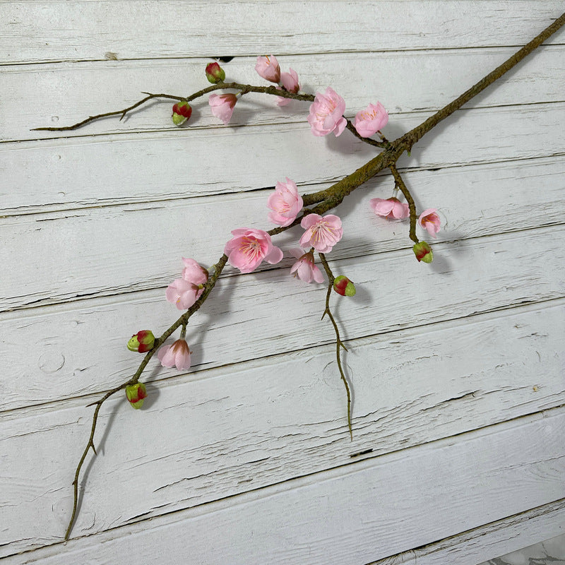 plump blossom007