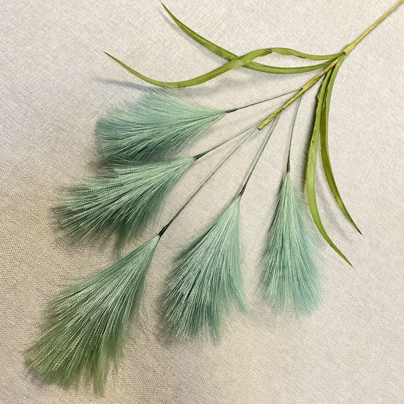 Reed grass 004