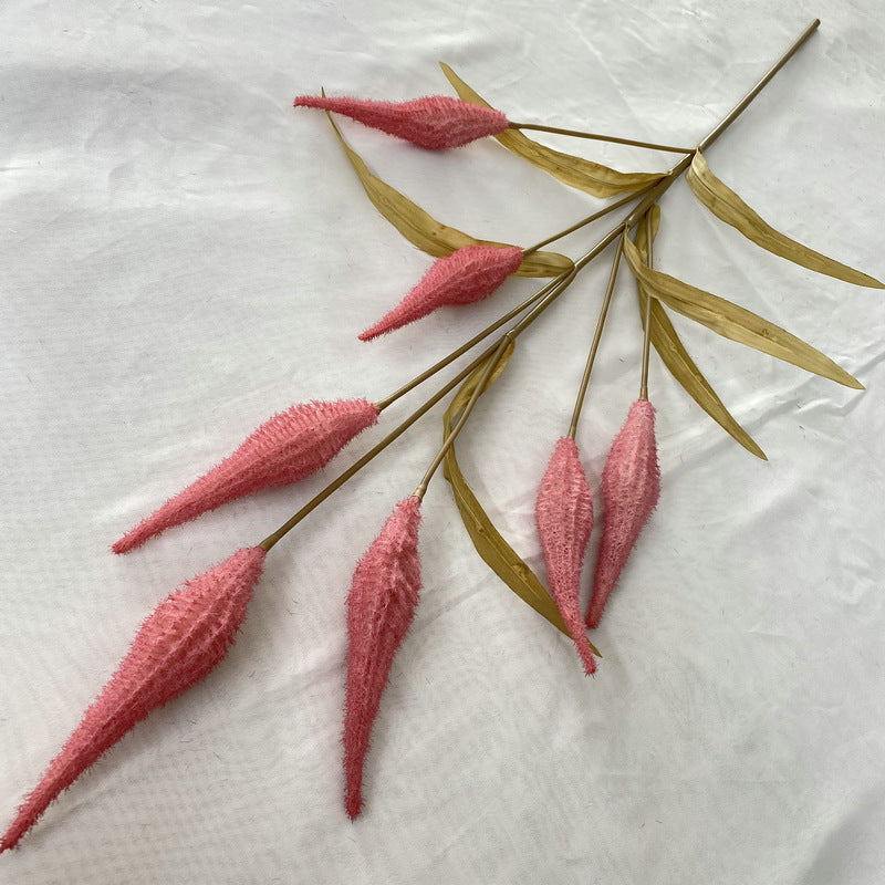 Reed grass 008