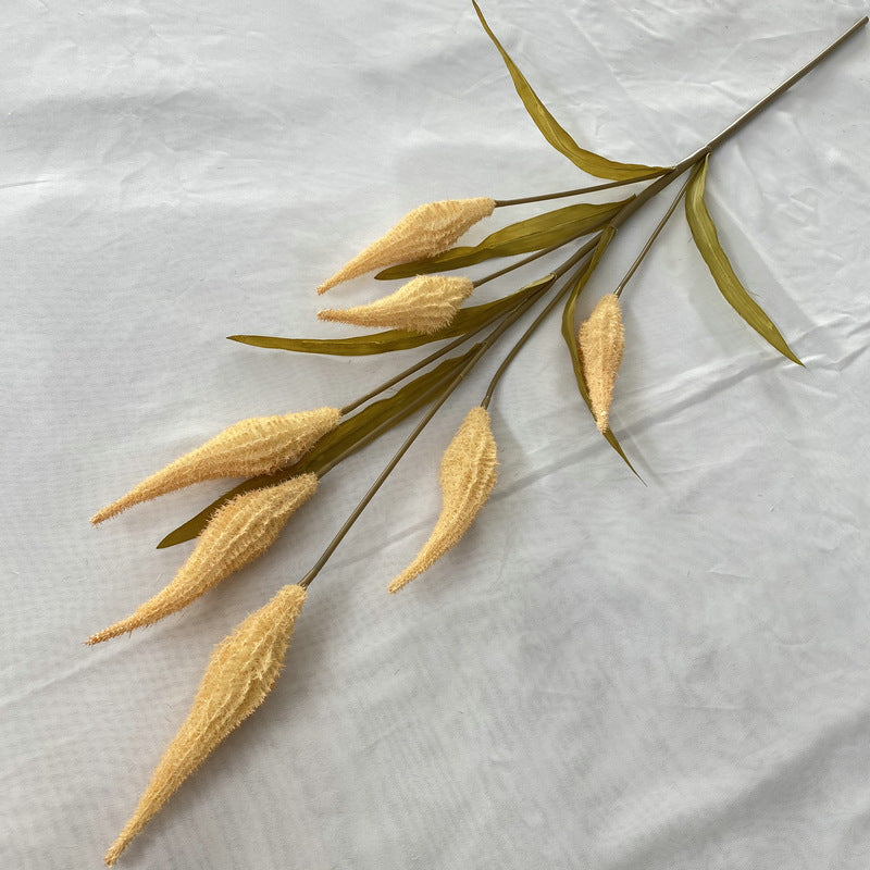 Reed grass 008
