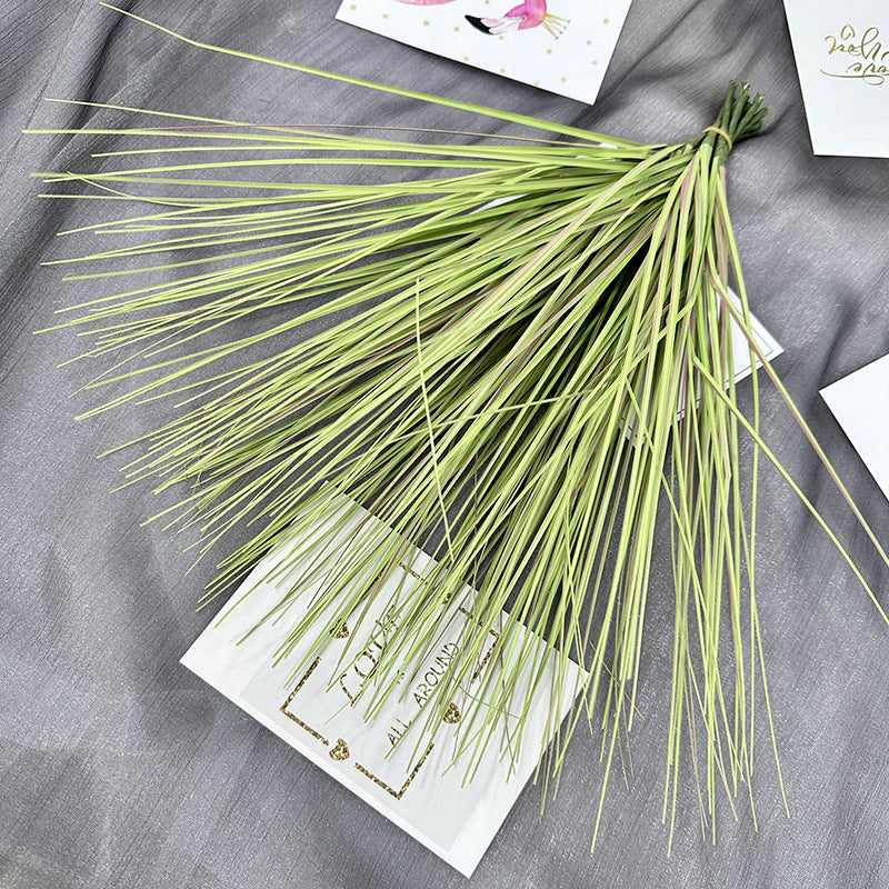 Reed grass 001