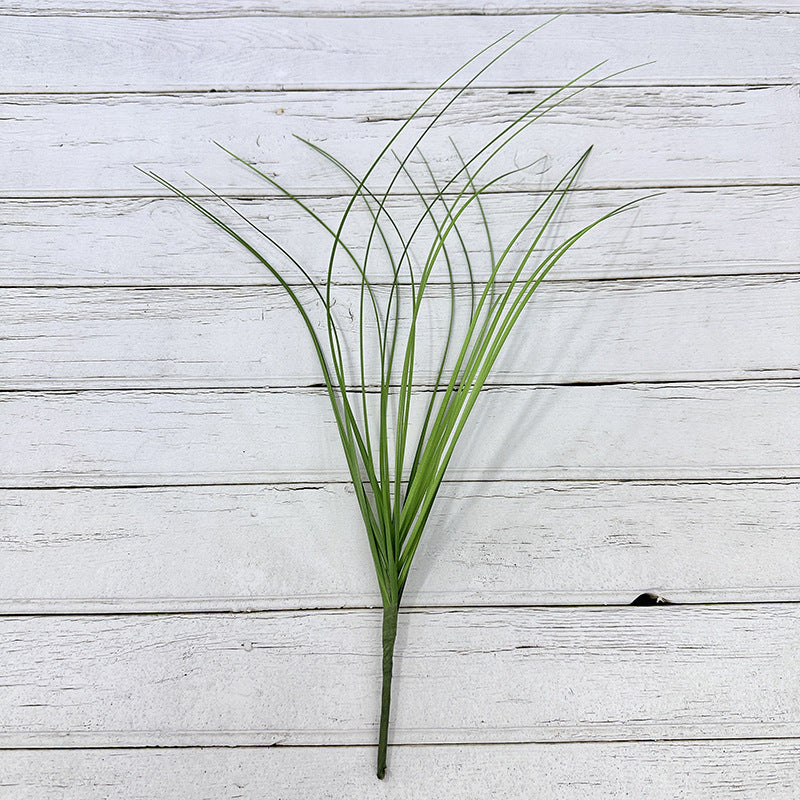 Reed grass 001