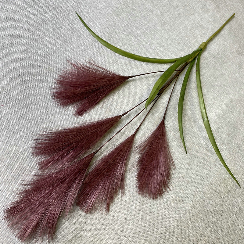 Reed grass 004