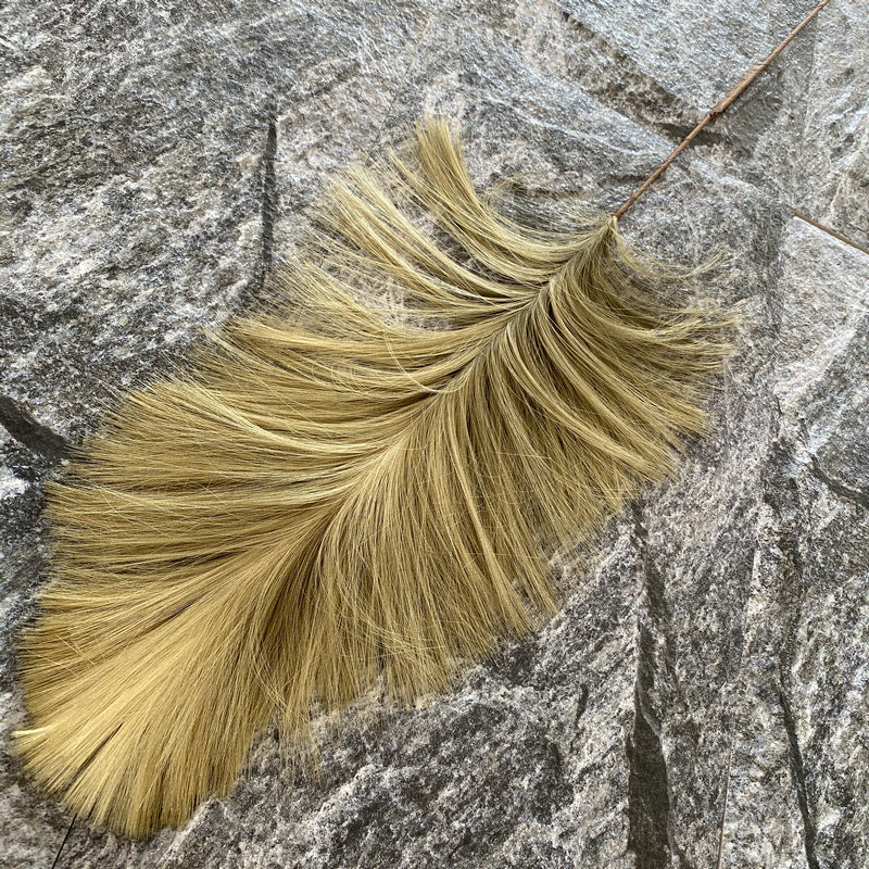 Reed grass 007