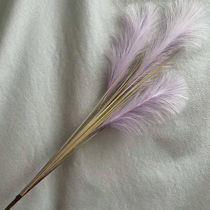 Reed grass 010