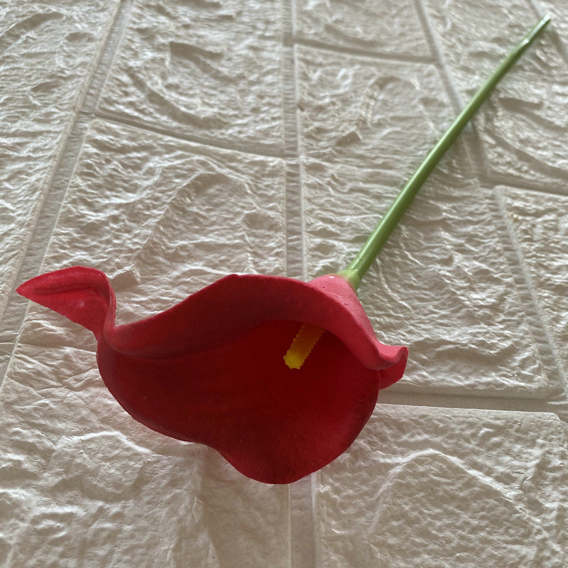 Calla lily 001