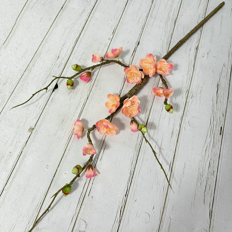 plump blossom007