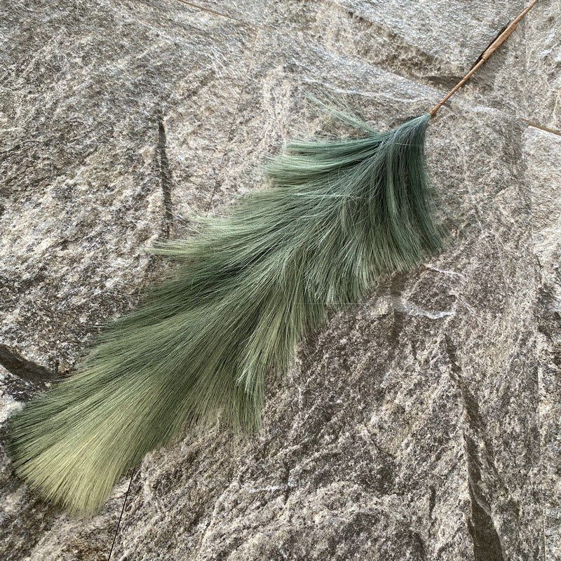 Reed grass 007