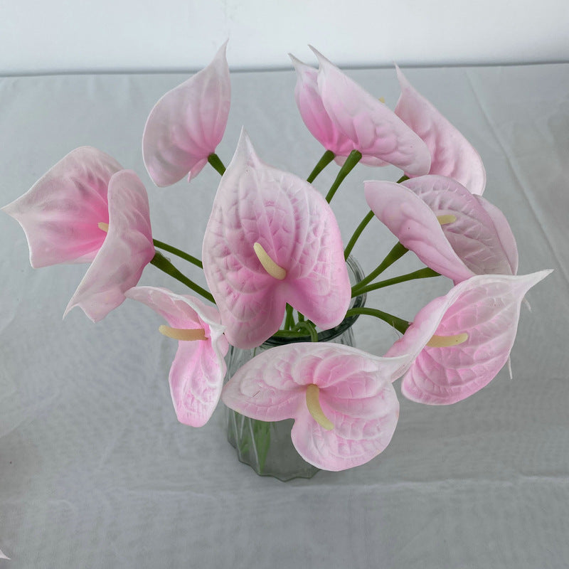 Calla lily 003