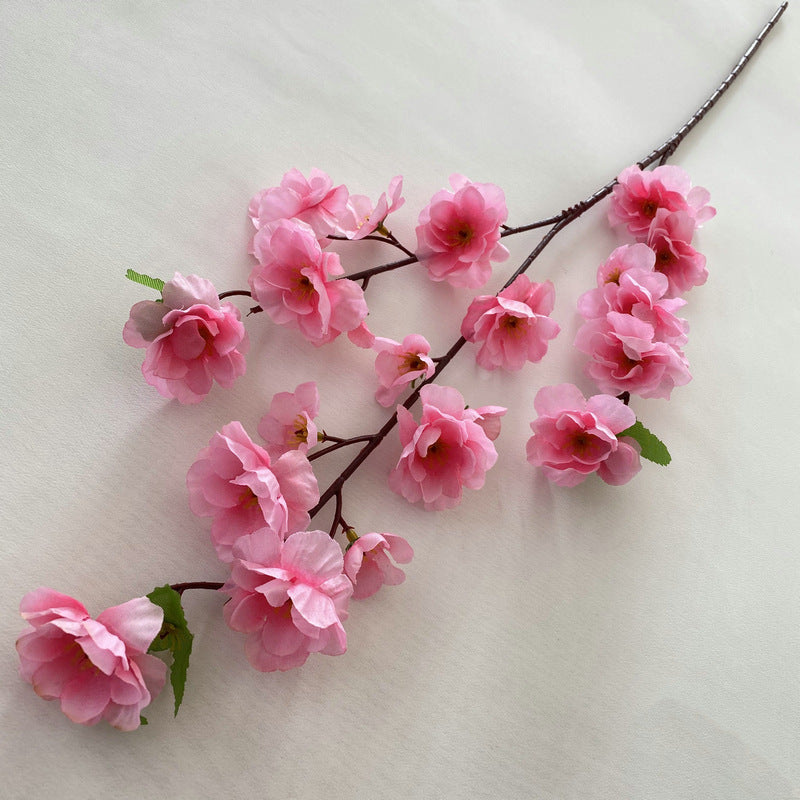 peach blossom 004