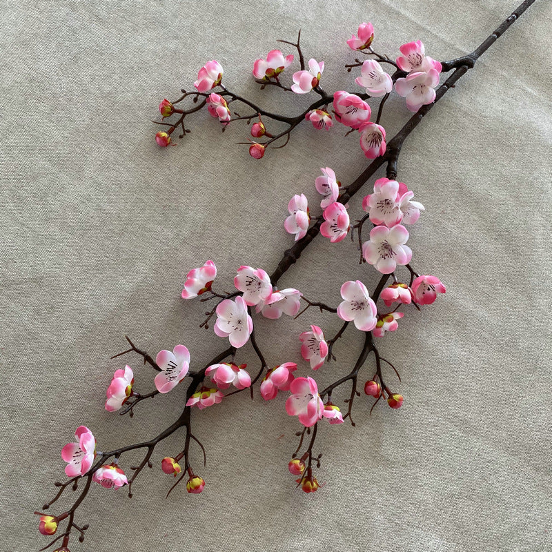 Plump blossom004