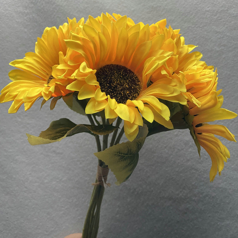 Sunflower 001