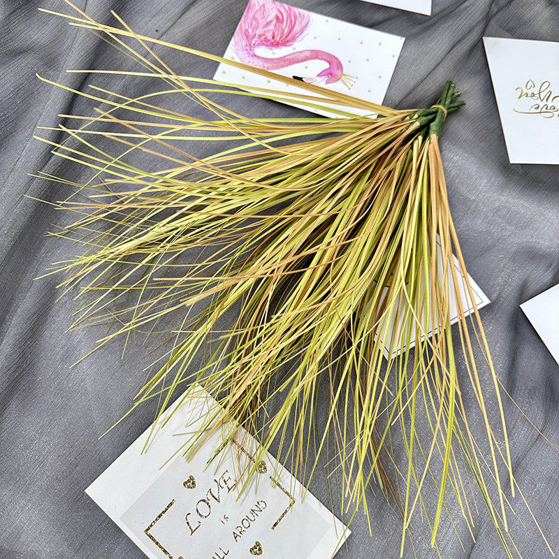 Reed grass 001