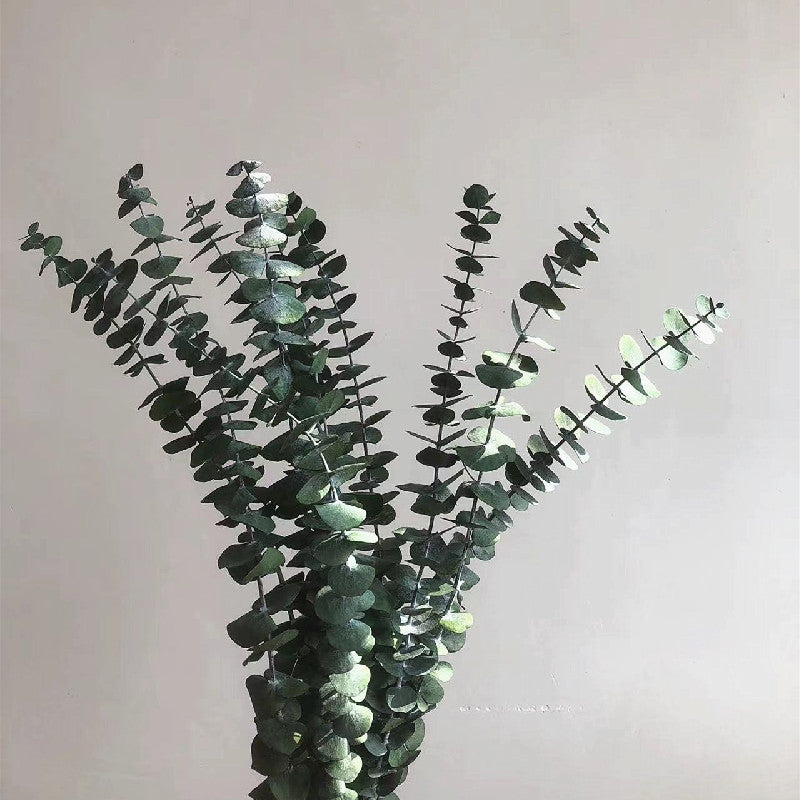 green plant 01