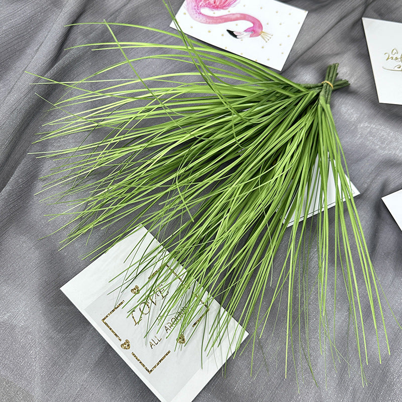 Reed grass 001