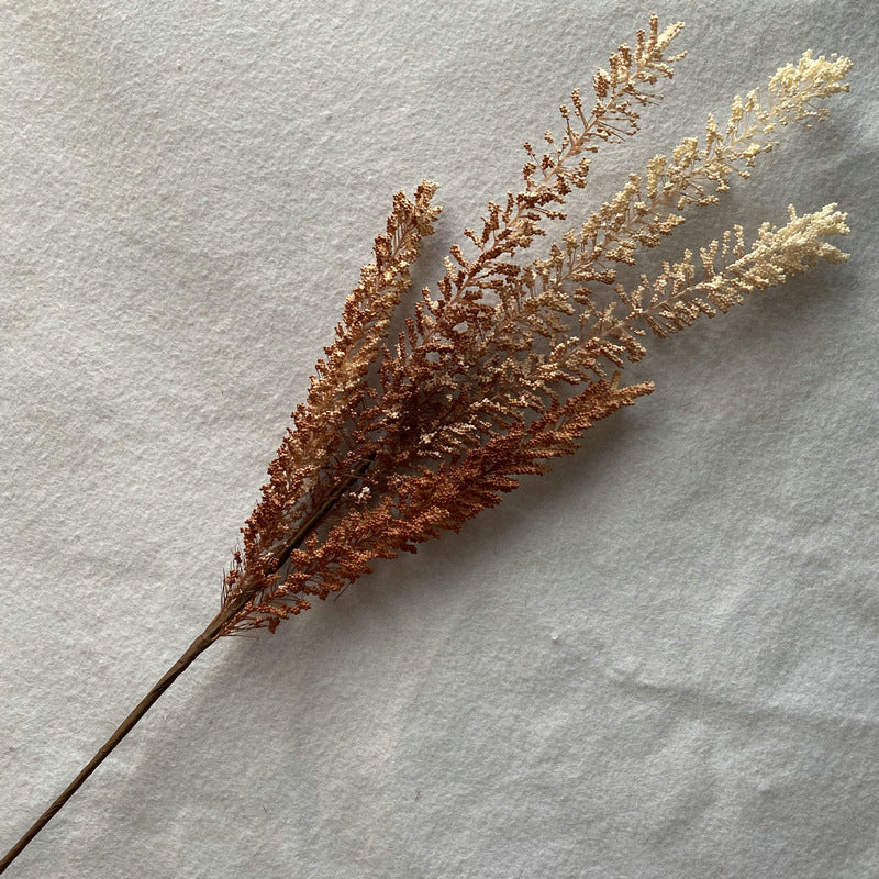 Reed grass 009