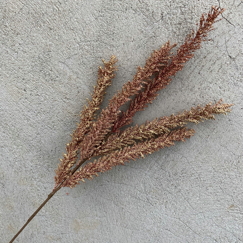 Reed grass 009