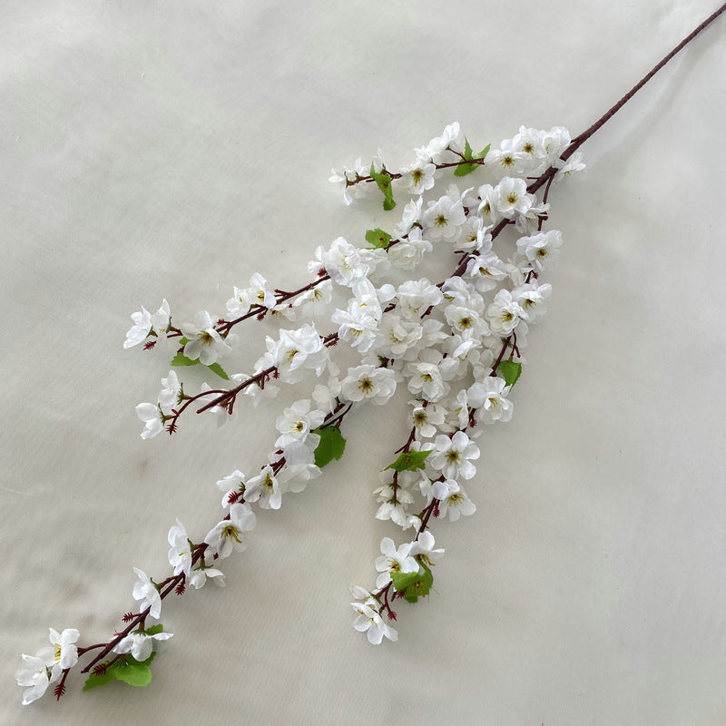 peach blossom 002