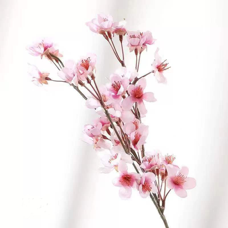 Small peach blossom without leaves